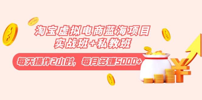 淘宝虚拟电商蓝海项目实战班+私教班-廉价云资源网