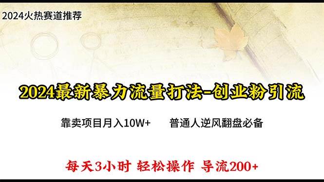 2024年最新暴力流量打法，每日导入300+，靠卖项目月入10W+-廉价云资源网