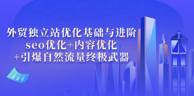 外贸独立站优化基础与进阶，seo优化+内容优化+引爆自然流量终极武器-廉价云资源网