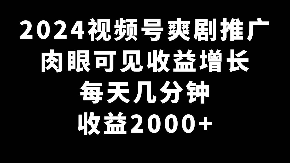2024视频号爽剧推广，肉眼可见的收益增长，每天几分钟收益2000+-廉价云资源网