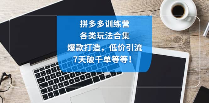 拼多多训练营：各玩法合集，爆款打造，低价引流，7天破千单等等-廉价云资源网