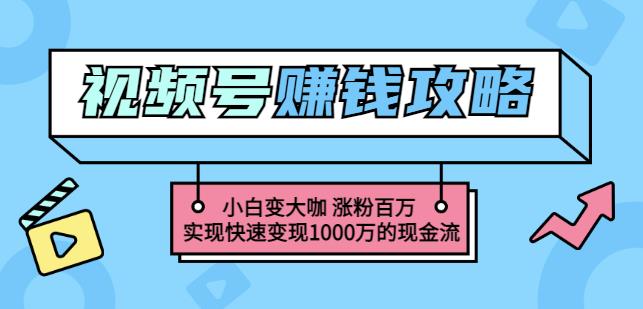 玩转微信视频号赚钱：小白变大咖涨粉百万实现快速变现1000万的现金流-廉价云资源网
