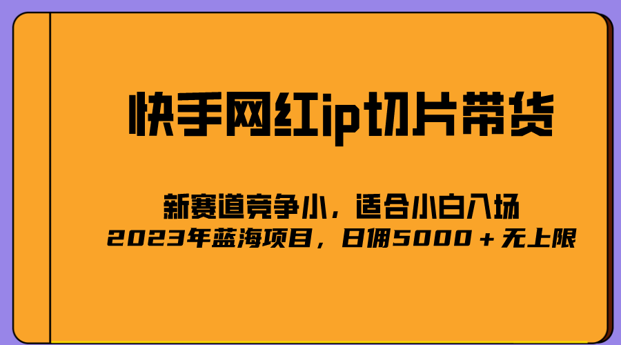 2023爆火的快手网红IP切片，号称日佣5000＋的蓝海项目，二驴的独家授权-廉价云资源网