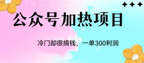 冷门公众号加热项目，一单利润300+-廉价云资源网
