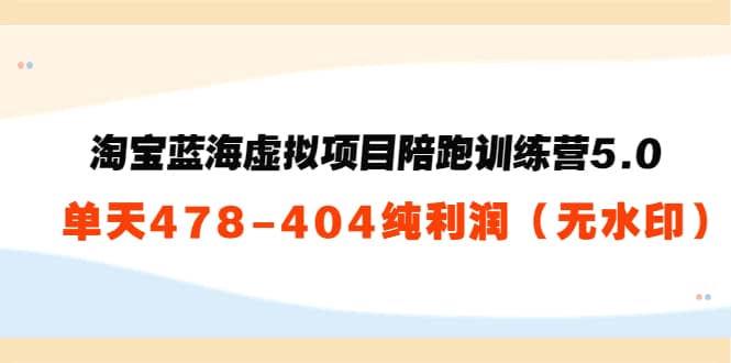 淘宝蓝海虚拟项目陪跑训练营5.0：单天478纯利润（无水印）-廉价云资源网