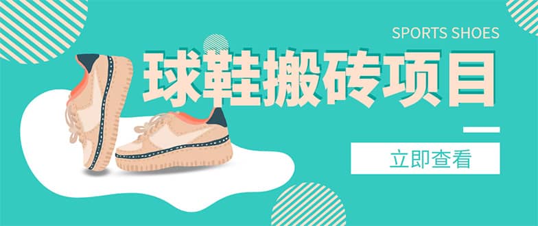 外面收费998的球鞋搬砖项目【详细教程+资源渠道】-廉价云资源网