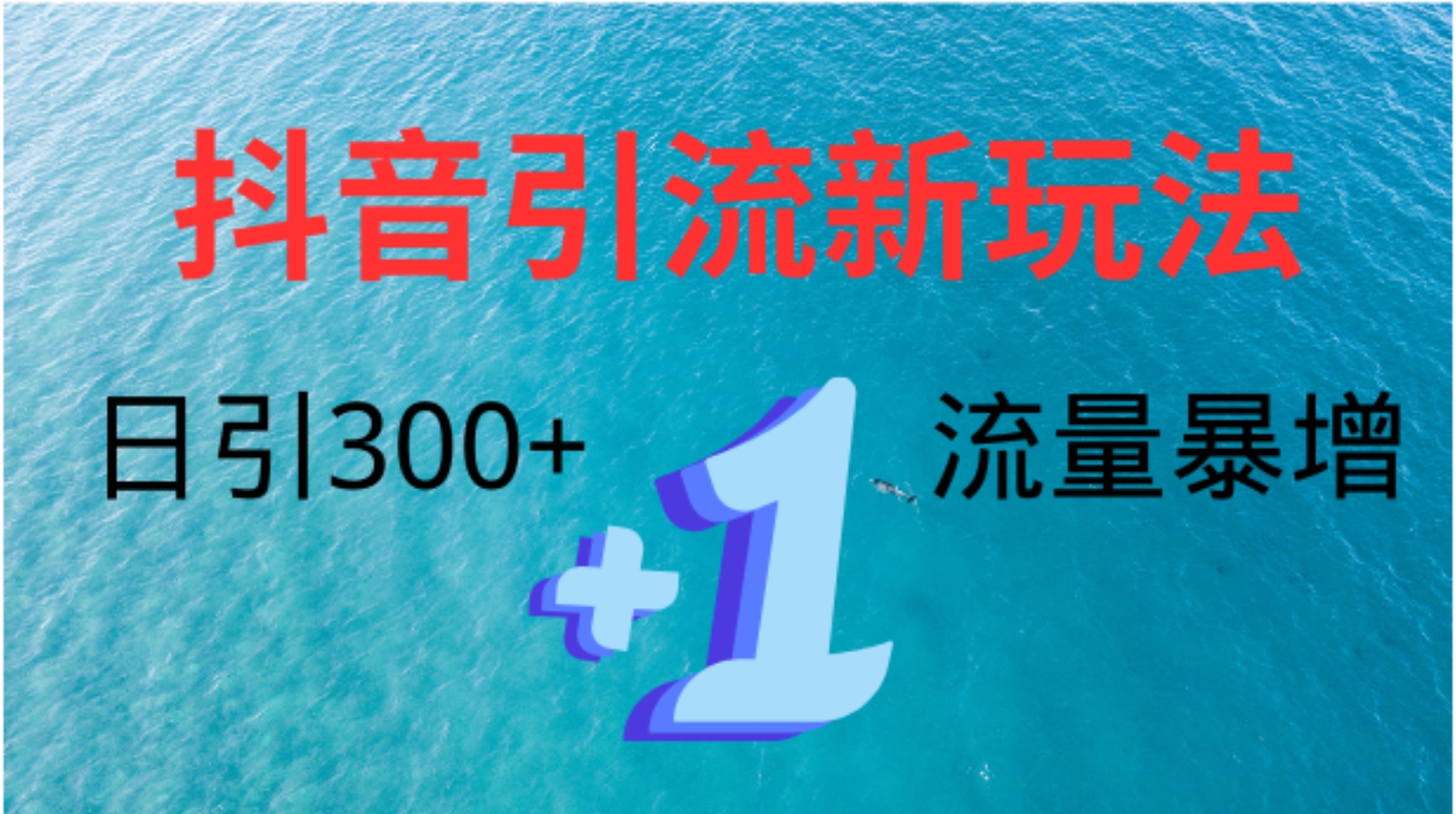 创业粉高效引流，抖音工具号玩法4.0，日引300+-廉价云资源网