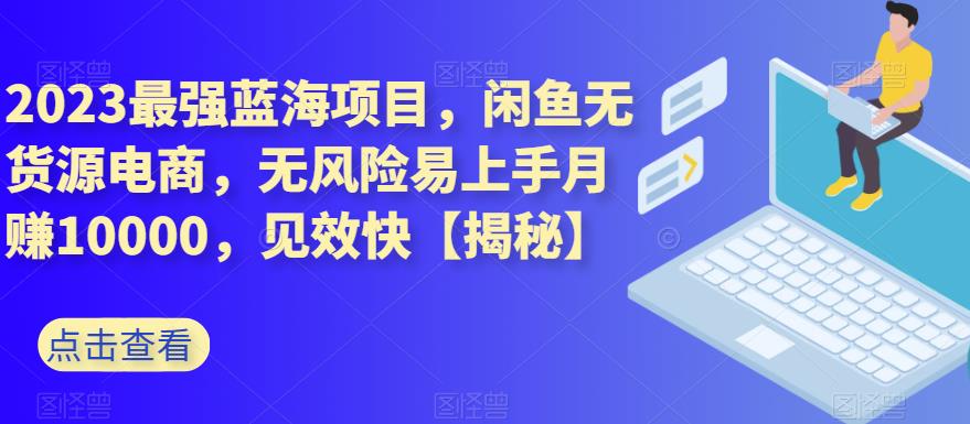 2023最强蓝海项目，闲鱼无货源电商，无风险易上手月赚10000，见效快【揭秘】-廉价云资源网