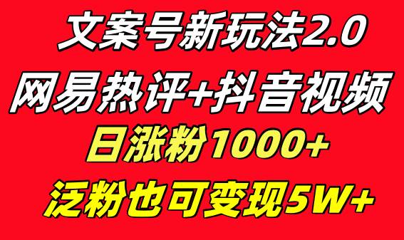 文案号新玩法 网易热评+抖音文案 一天涨粉1000+ 多种变现模式 泛粉也可变现-廉价云资源网