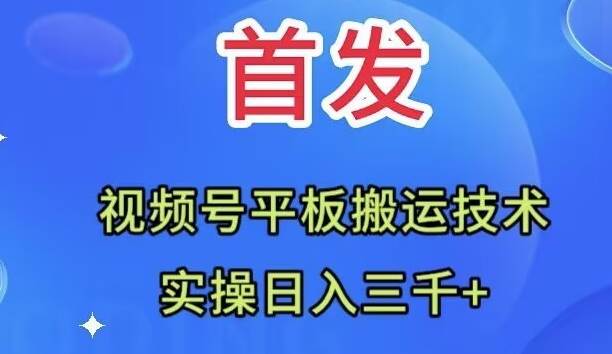 全网首发：视频号平板搬运技术，实操日入三千＋-廉价云资源网