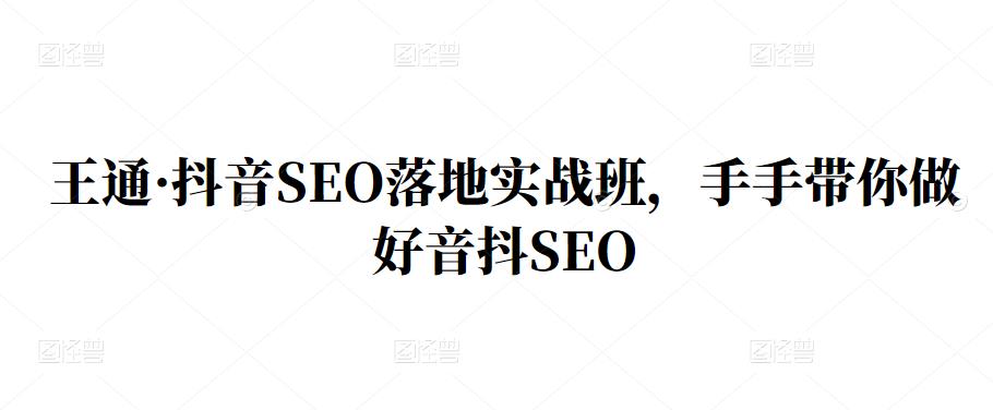王通·抖音SEO落地实战班，手‬手带你做好音抖‬‬SEO-廉价云资源网