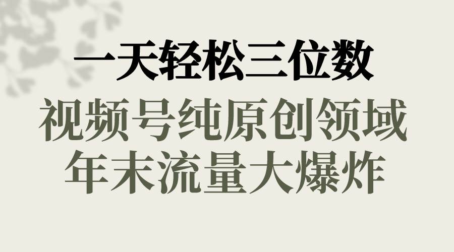 一天轻松三位数，视频号纯原创领域，春节童子送祝福，年末流量大爆炸-廉价云资源网