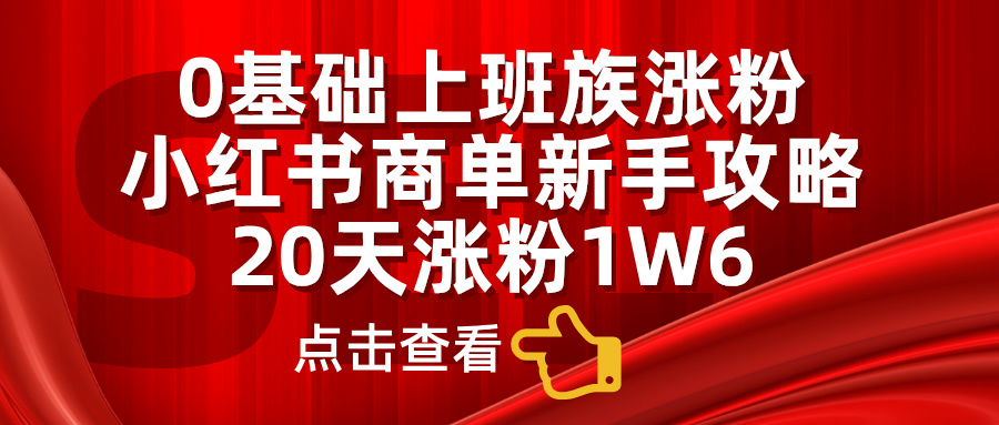 0基础上班族涨粉，小红书商单新手攻略，20天涨粉1.6w-廉价云资源网