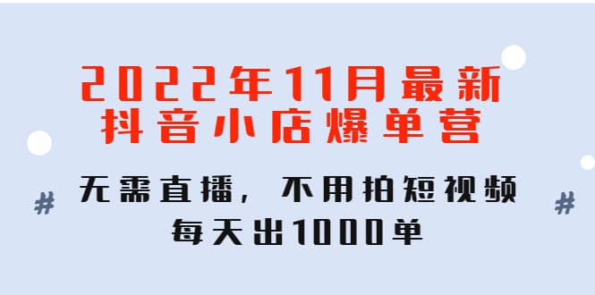 2022年11月最新抖音小店爆单训练营：无需直播，不用拍短视频，每天出1000单-廉价云资源网