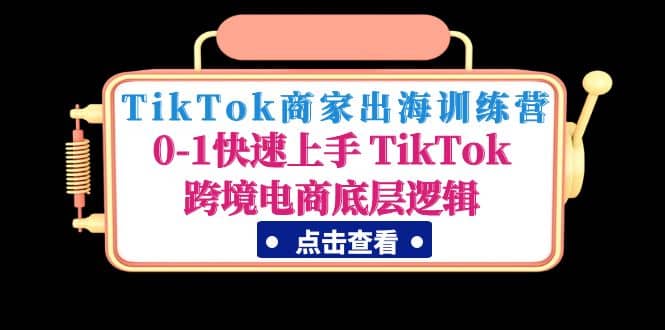 TikTok商家出海训练营：0-1快速上手 TikTok跨境电商底层逻辑(无水印)-廉价云资源网
