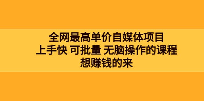 全网最单高价自媒体项目：上手快 可批量 无脑操作的课程，想赚钱的来-廉价云资源网
