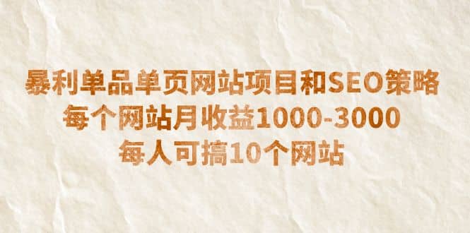 暴利单品单页网站项目和SEO策略 每个网站月收益1000-3000 每人可搞10个-廉价云资源网