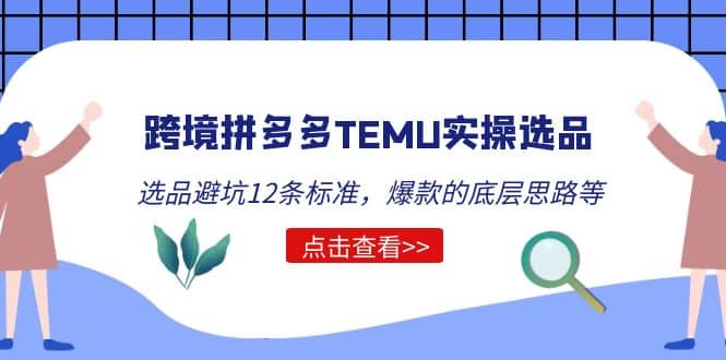 跨境拼多多TEMU实操选品运营方法，选品避坑12条标准，爆款的底层思路等-廉价云资源网