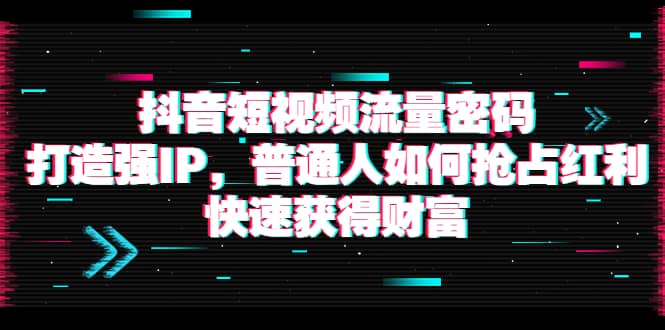 抖音短视频流量密码：打造强IP，普通人如何抢占红利，快速获得财富-廉价云资源网