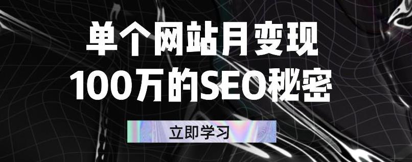 单个网站月变现100万的SEO秘密，百分百做出赚钱站点-廉价云资源网