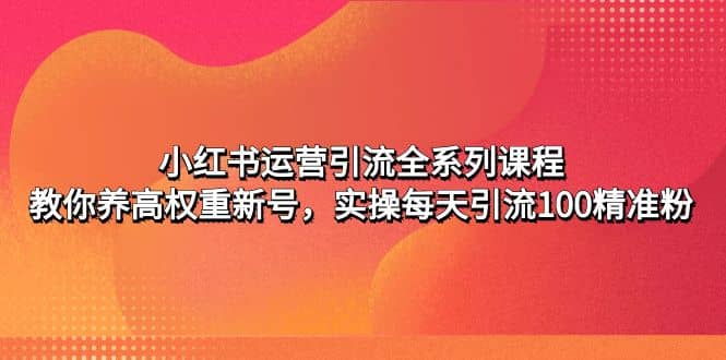 小红书运营引流全系列课程：教你养高权重新号-廉价云资源网