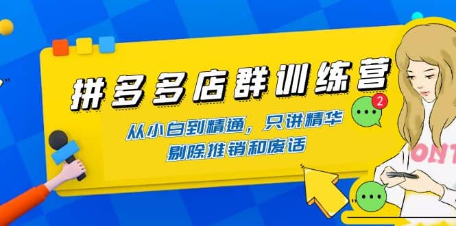 拼多多店群训练营：从小白到精通，只讲精华，剔除推销和废话-廉价云资源网