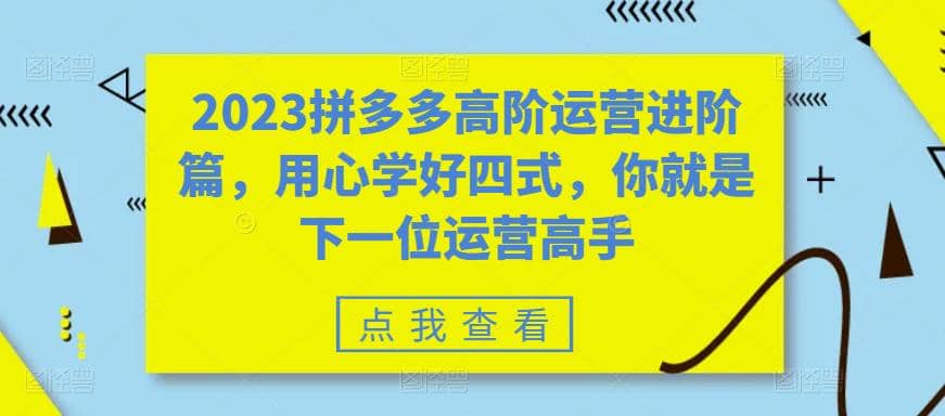 2023拼多多高阶运营进阶篇，用心学好四式，你就是下一位运营高手-廉价云资源网