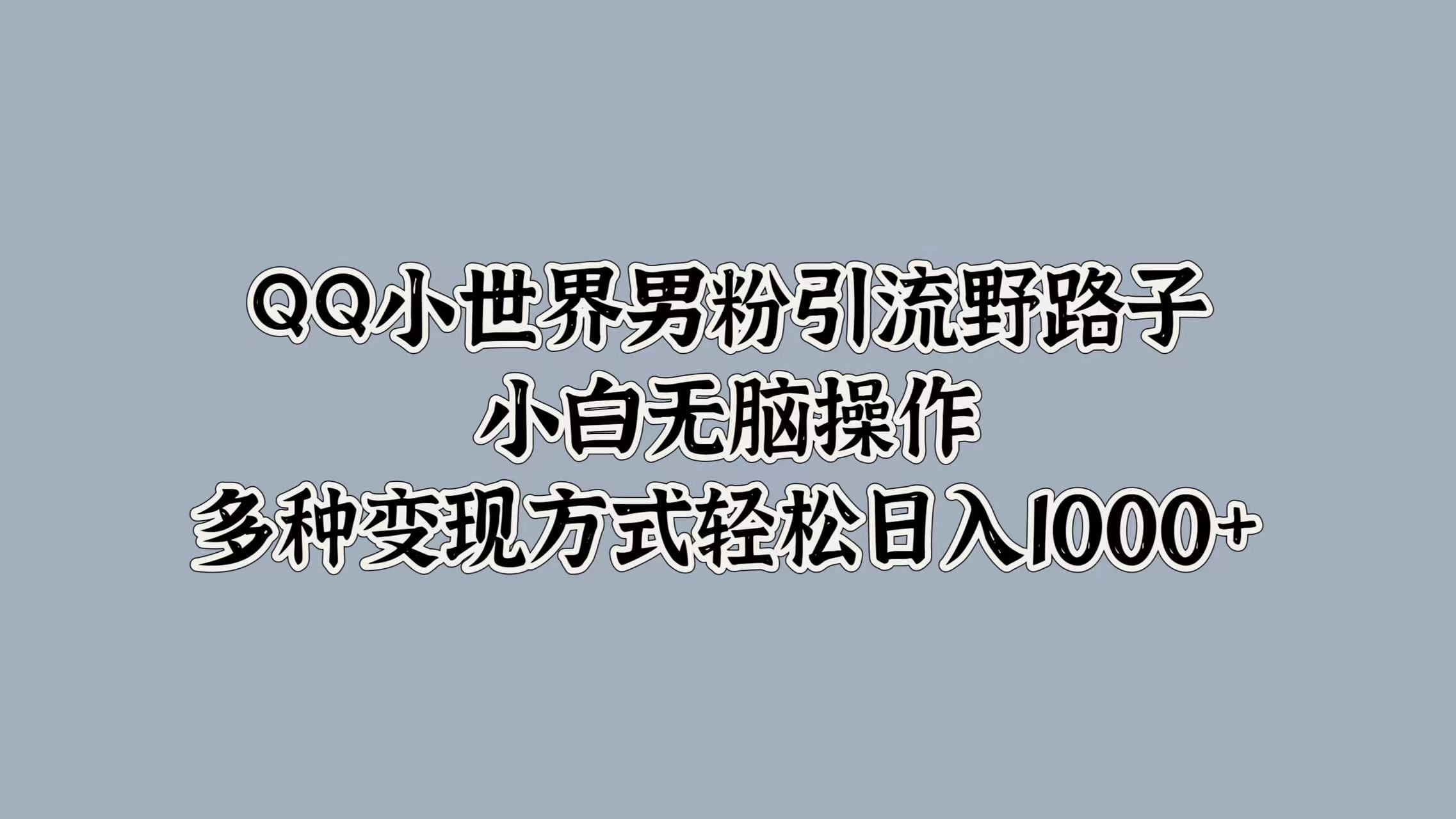 QQ小世界男粉引流野路子，小白无脑操作，多种变现方式轻松日入1000+-廉价云资源网