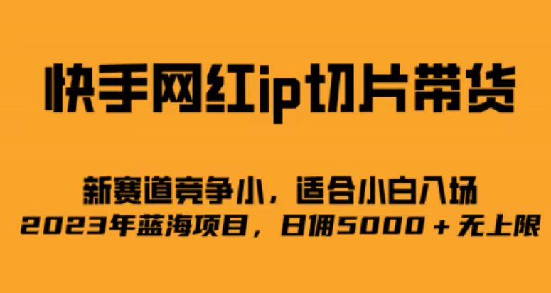 快手网红ip切片新赛道，竞争小事，适合小白 2023蓝海项目-廉价云资源网