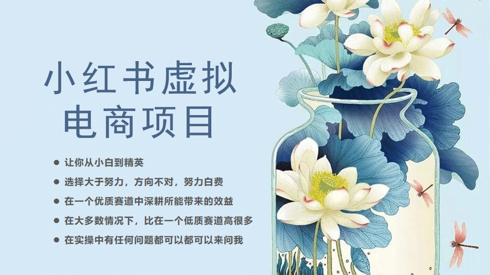 小红书虚拟电商从0到1，让你从小白到精英（20节实操课程）-廉价云资源网