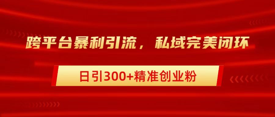 跨平台暴力引流，私域完美闭环，日引300+精准创业粉-廉价云资源网