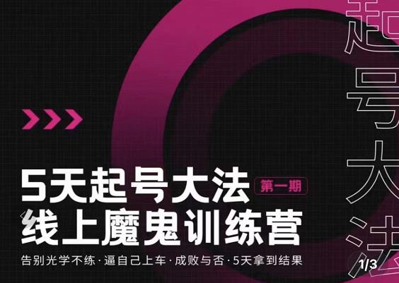 五天起号魔鬼训练营，告别光学不练，逼自己上车，成败与否，5天拿到结果-廉价云资源网