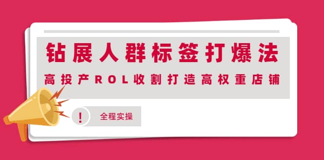 钻展人群标签打爆法，高投产ROL收割打造高权重店铺(全程实操)-廉价云资源网