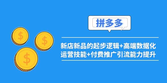 2022拼多多：新店新品的起步逻辑+高端数据化运营技能+付费推广引流能力提升-廉价云资源网