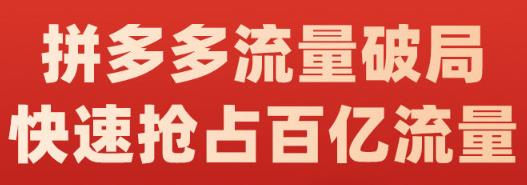 阿杰·拼多多流量破局:如何打黑标，爆款的思路，拼多多流量框架，快速抢占百亿流量-廉价云资源网
