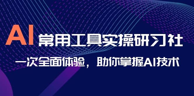 AI-常用工具实操研习社，一次全面体验，助你掌握AI技术-廉价云资源网