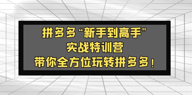 拼多多“新手到高手”实战特训营：带你全方位玩转拼多多-廉价云资源网