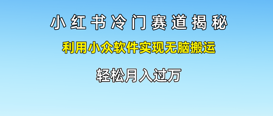 小红书冷门赛道揭秘,轻松月入过万，利用小众软件实现无脑搬运，-廉价云资源网
