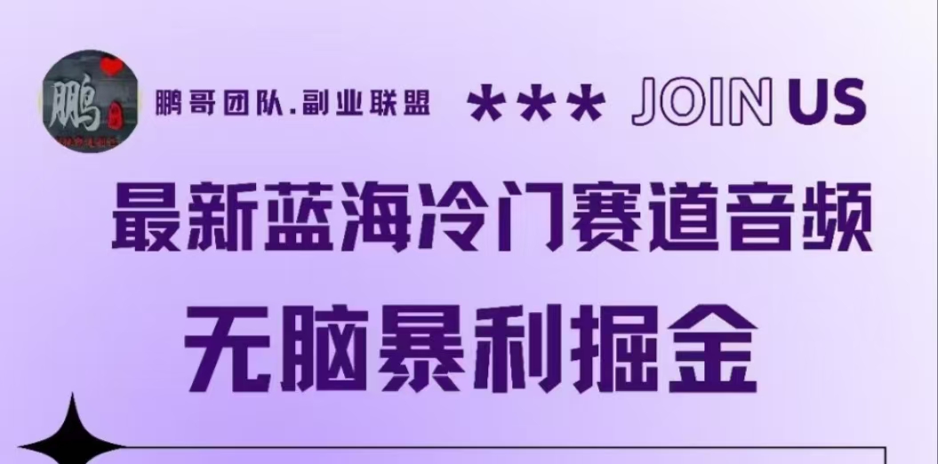 最新蓝海冷门赛道音频，无脑暴利掘金-廉价云资源网