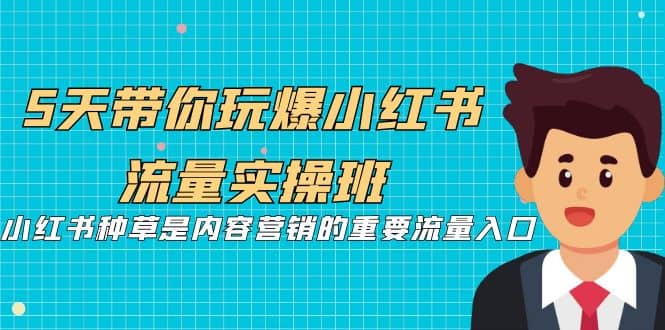 5天带你玩爆小红书流量实操班，小红书种草是内容营销的重要流量入口-廉价云资源网