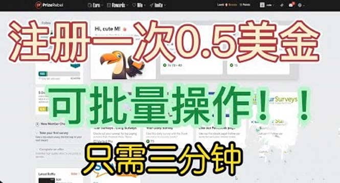 国外项目注册一次0.5美金 只需三分钟无脑操作 可批量放大 小白工作室福利-廉价云资源网
