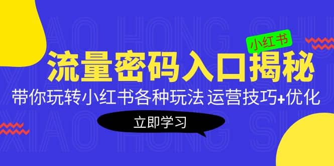 小红书流量密码入口揭秘：带你玩转小红书各种玩法 运营技巧+优化-廉价云资源网