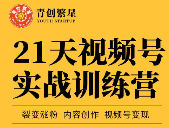 张萌21天视频号实战训练营，裂变涨粉、内容创作、视频号变现 价值298元-廉价云资源网