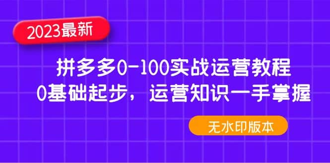 2023拼多多0-100实战运营教程，0基础起步，运营知识一手掌握（无水印）-廉价云资源网