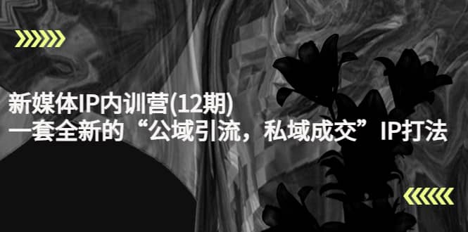 新媒体IP内训营(12期)，一套全新的“公域引流，私域成交”IP打法，直接带走-廉价云资源网