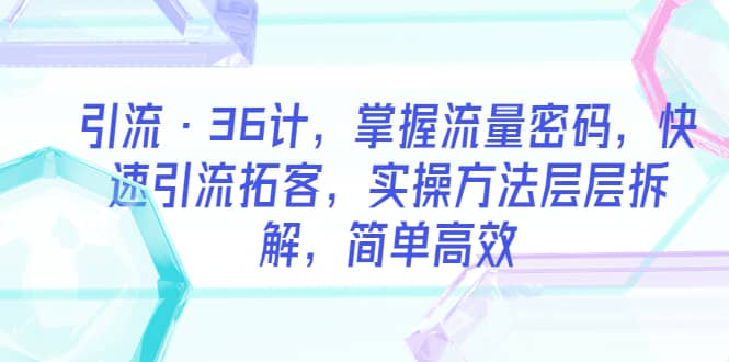 引流·36计，掌握流量密码，快速引流拓客，实操方法层层拆解，简单高效-廉价云资源网