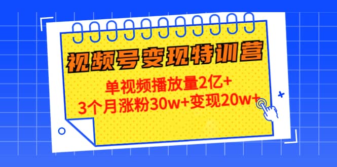20天视频号变现特训营：单视频播放量2亿+-廉价云资源网