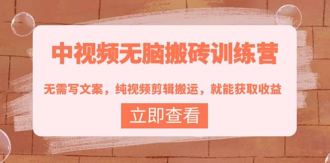 中视频无脑搬砖训练营：无需写文案，纯视频剪辑搬运，就能获取收益-廉价云资源网