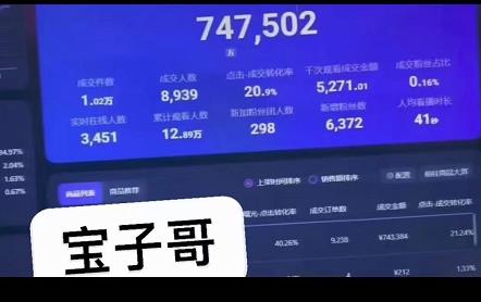 宝子哥无人直播，半无人直播，Obs+伴侣玩法，快速打标签+养鱼-廉价云资源网