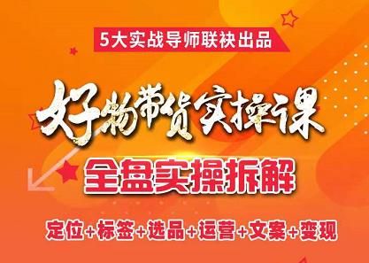 抖音好物带货实操课，全盘拆解抖音好物带货号全套流程打法-廉价云资源网